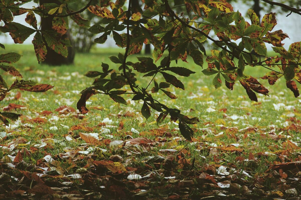 Foto: Unsplash