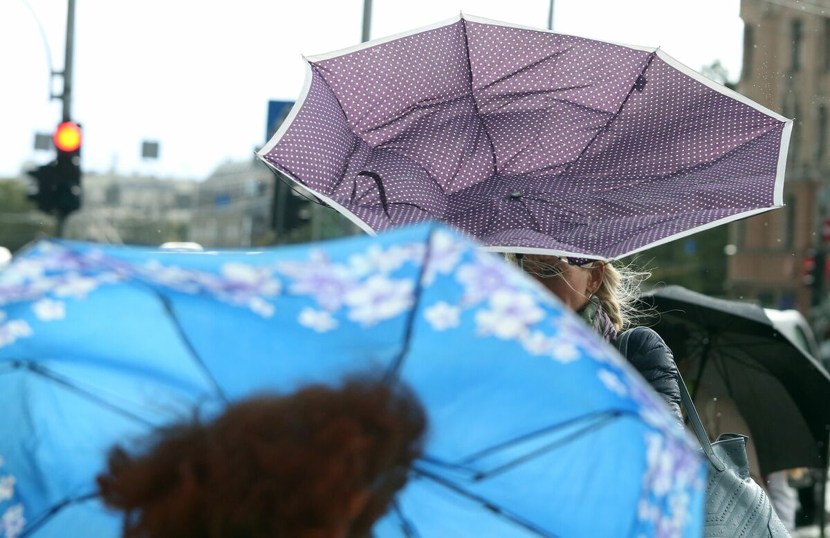 Foto: Edijs Pālens/LETA