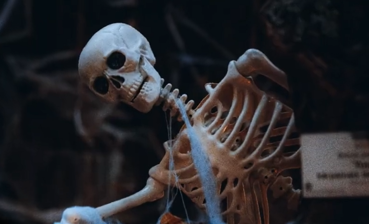Foto: Ekrānuzņēmums no video