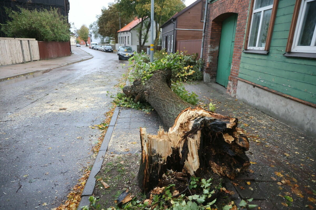 Foto: Ģirts Gertsons/liepajniekiem.lv