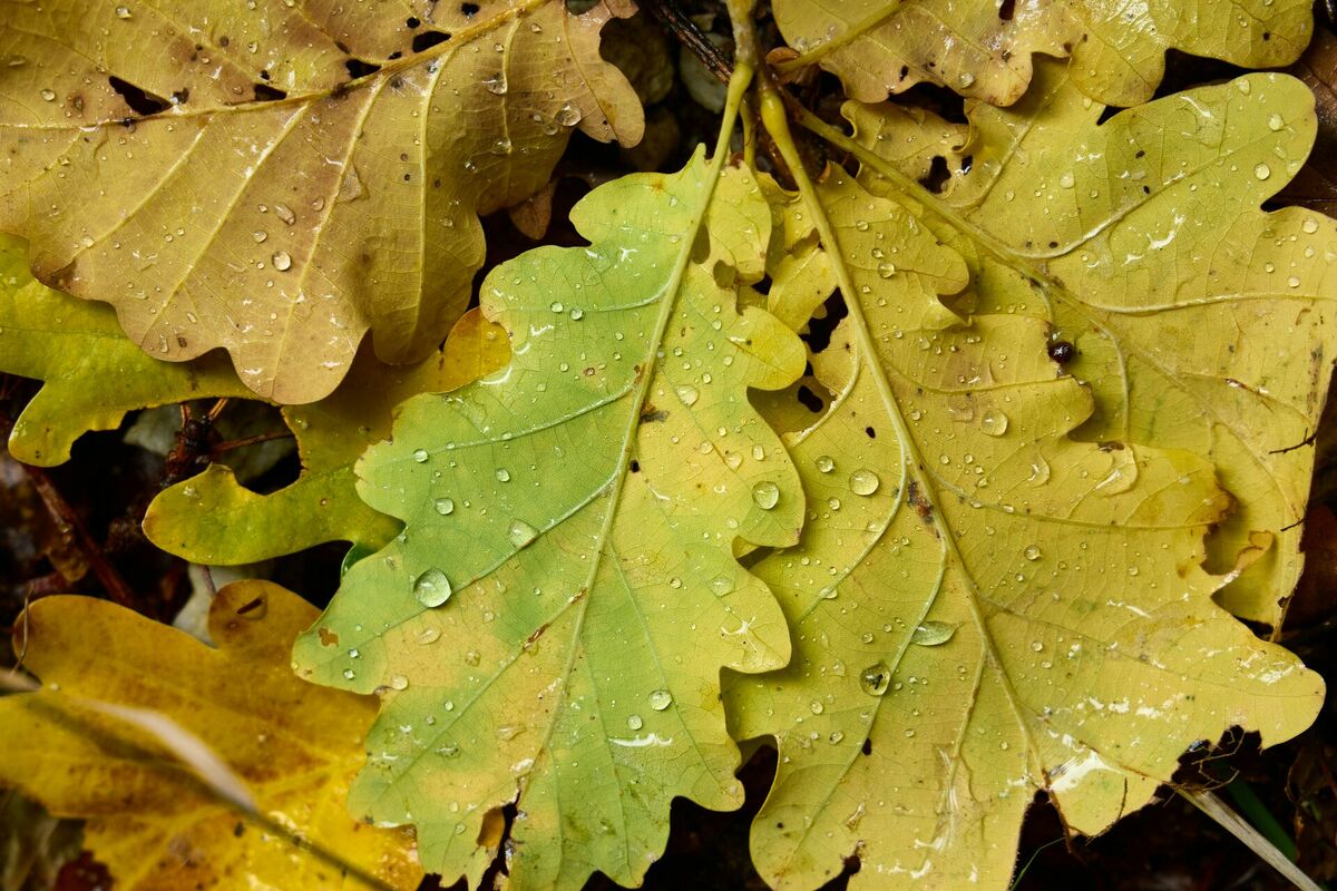 Foto: Unsplash