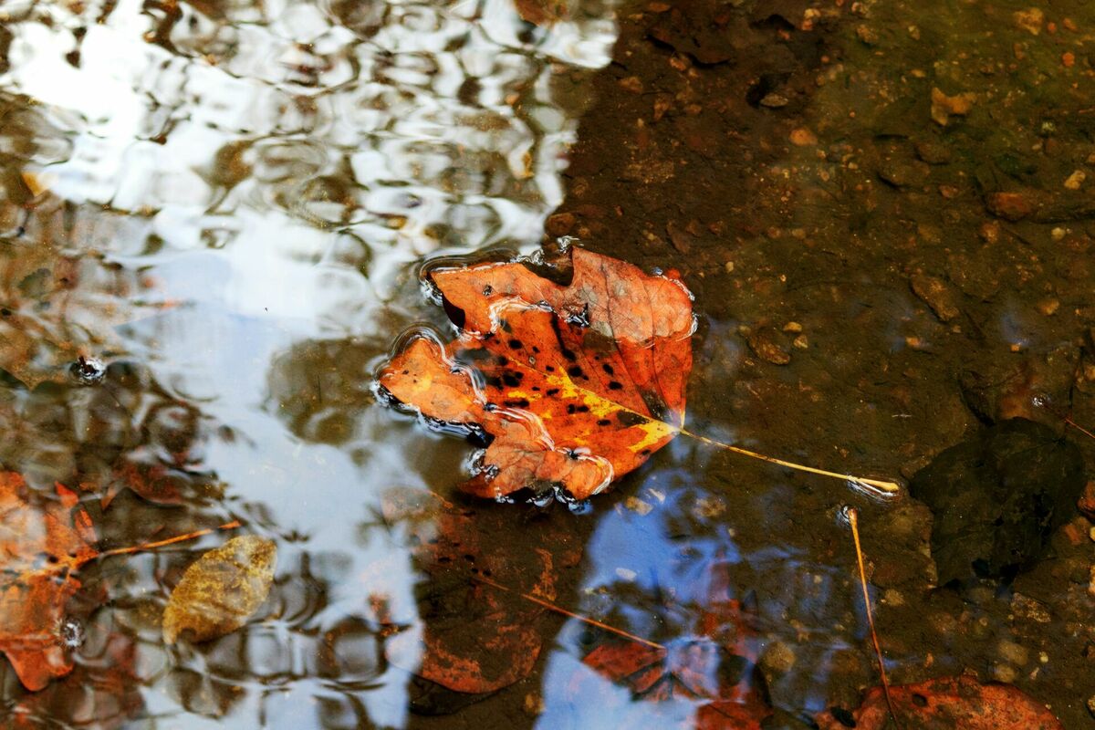 Foto: Unsplash