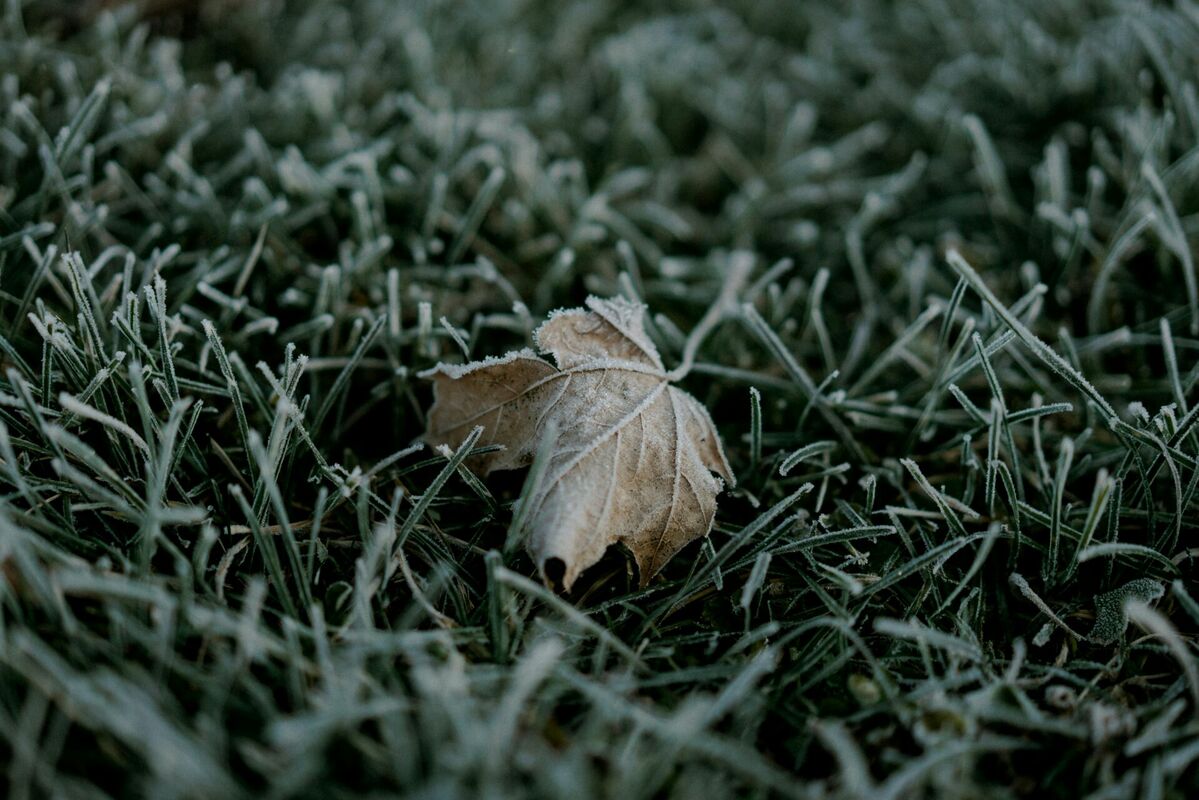 Foto: Unsplash