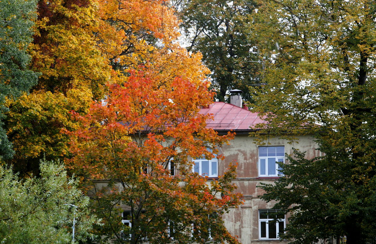 Foto: Una Kupruka/LETA