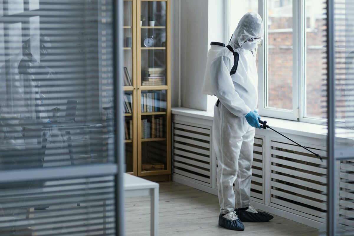 Dezinsekcija dzīvoklī. Foto: Magnific.com