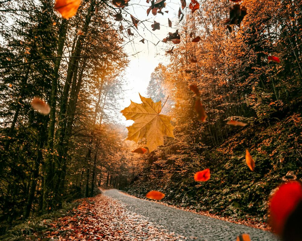 Foto: Pexels 