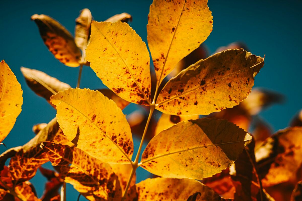Foto: Unsplash