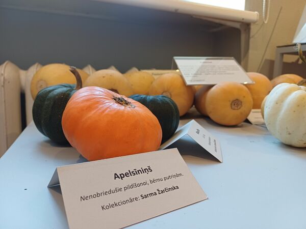Foto: 360 Ziņas