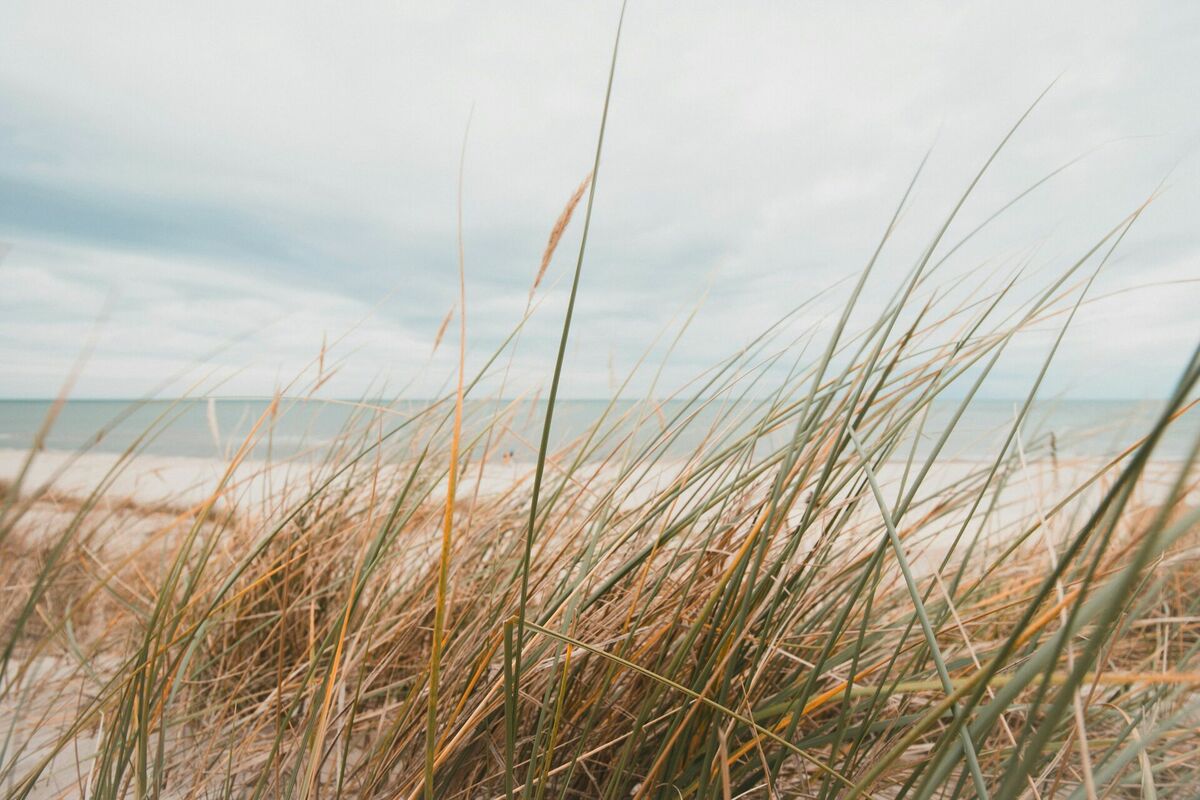 Foto: Domantas Klimas/Unsplash