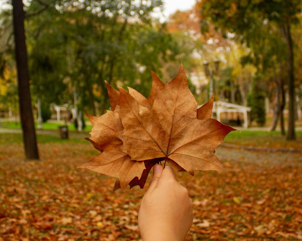 Foto: Pexels