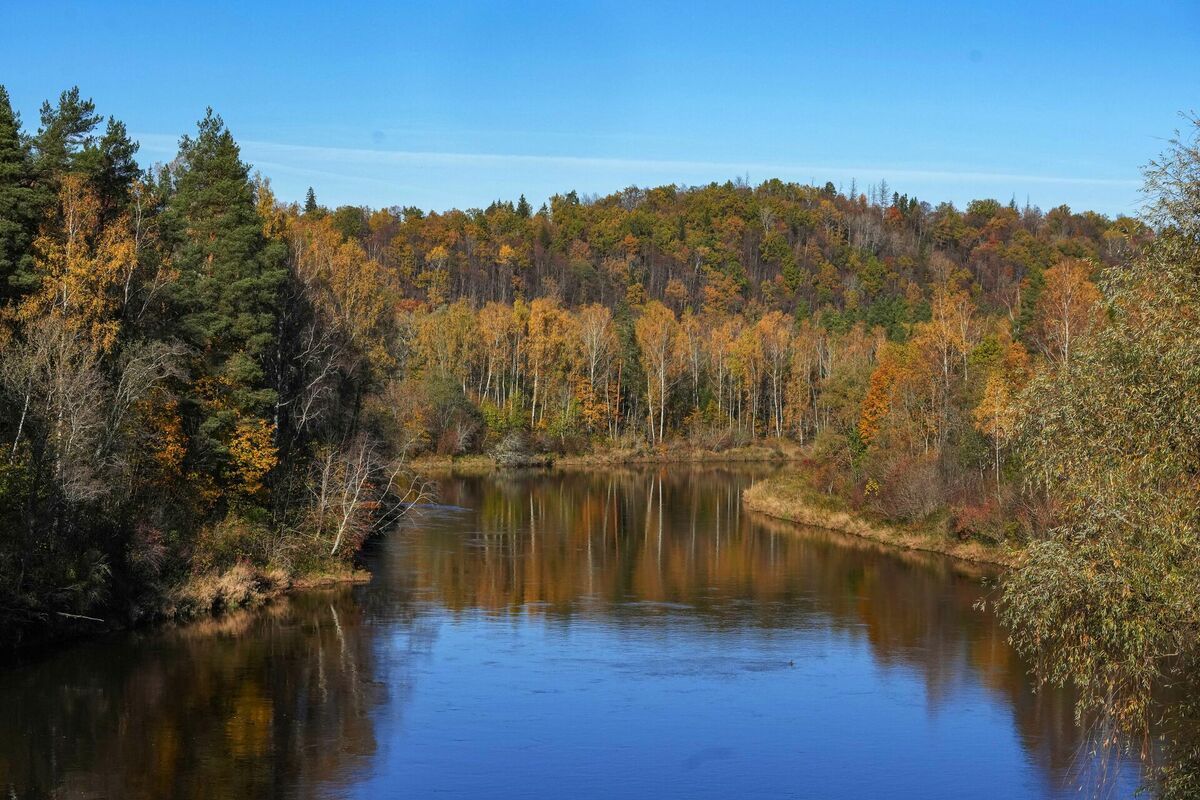 Foto: Edijs Pālens/LETA