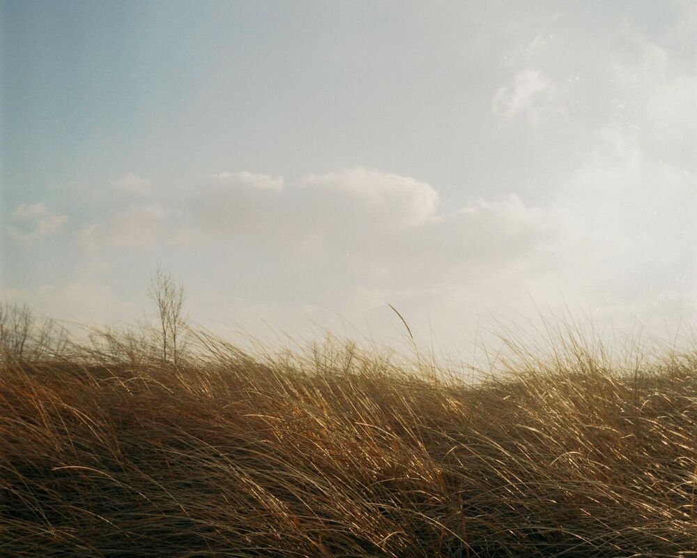 Foto: Pexels