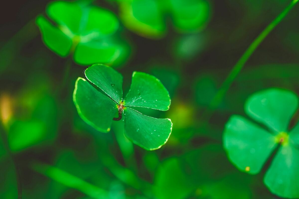 Foto: Unsplash